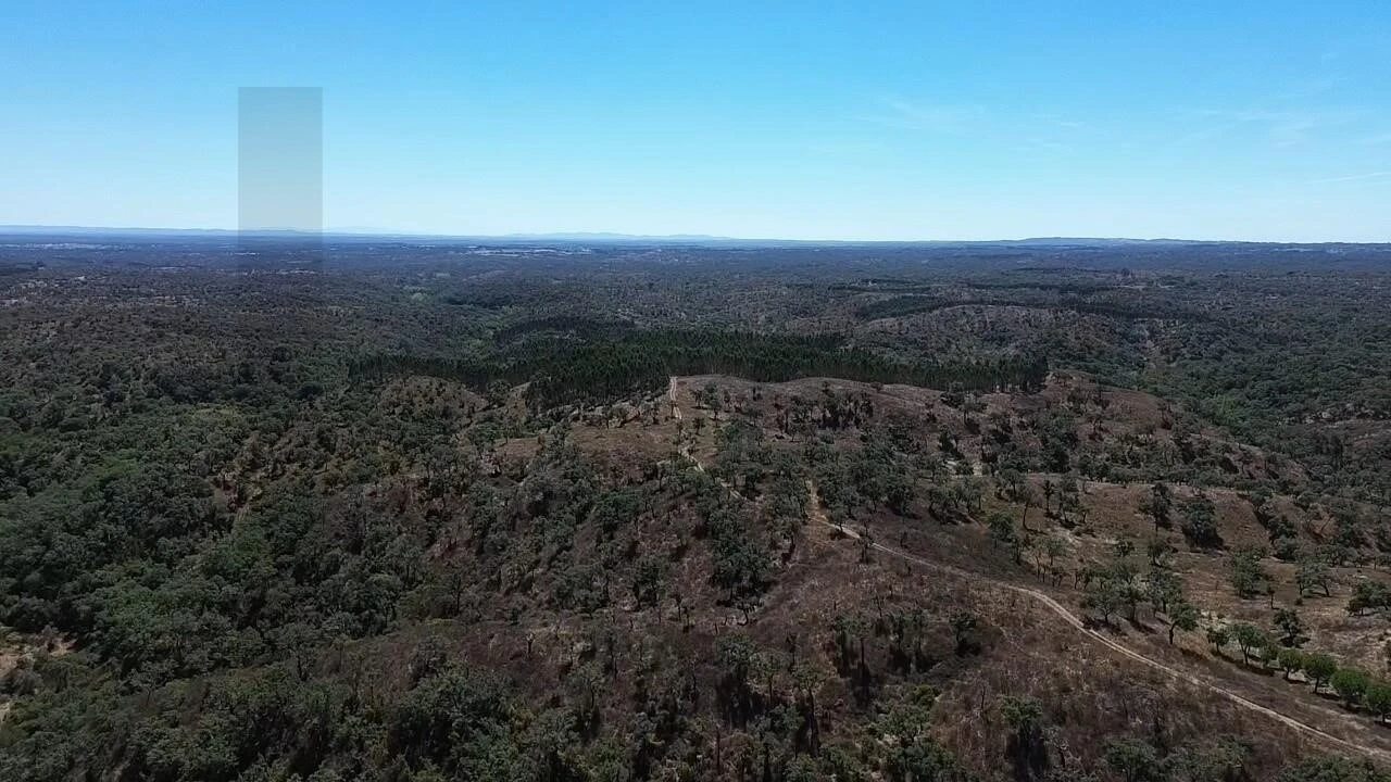 Terreno para Venda em São Francisco da Serra Foto 19
