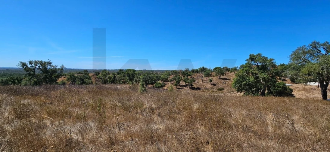Terreno para Venda em São Francisco da Serra Foto 1