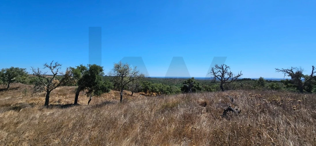 Terreno para Venda em São Francisco da Serra Foto 2