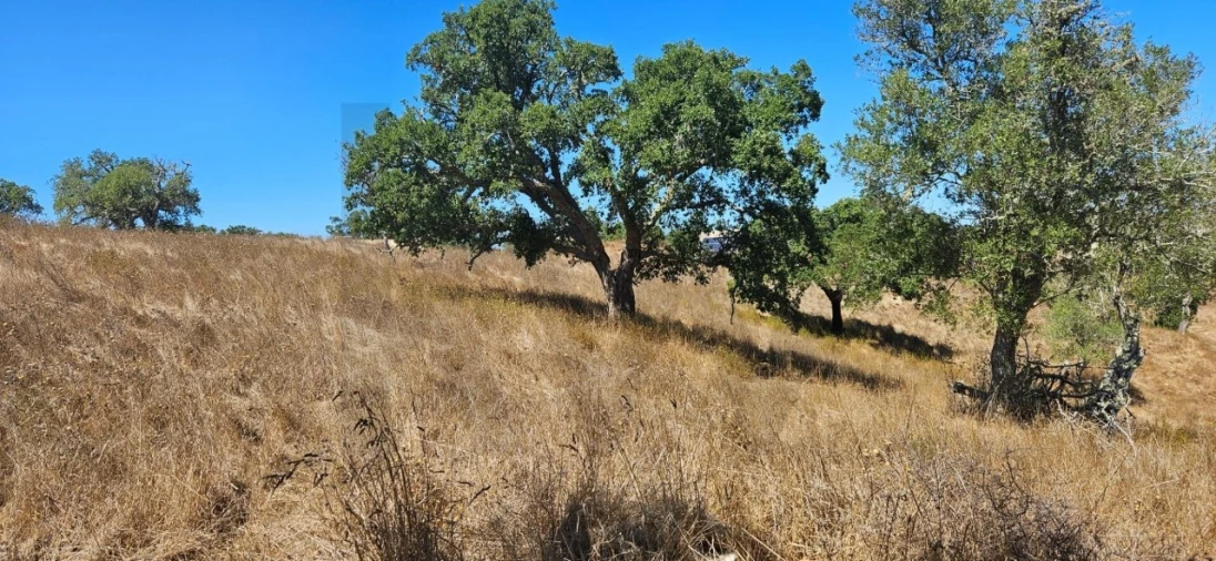 Terreno para Venda em São Francisco da Serra Foto 7