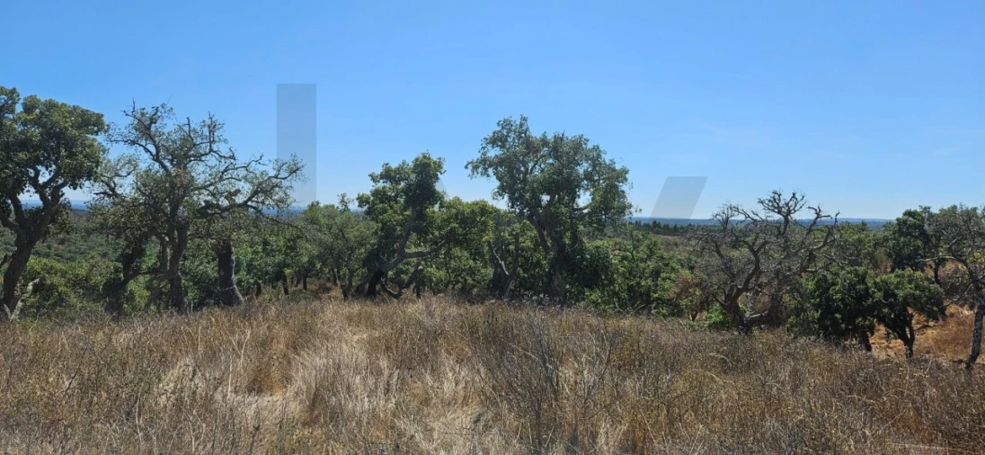 Terreno para Venda em São Francisco da Serra Foto 8