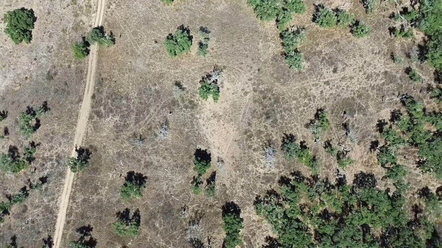 Terreno para Venda em São Francisco da Serra Foto 16