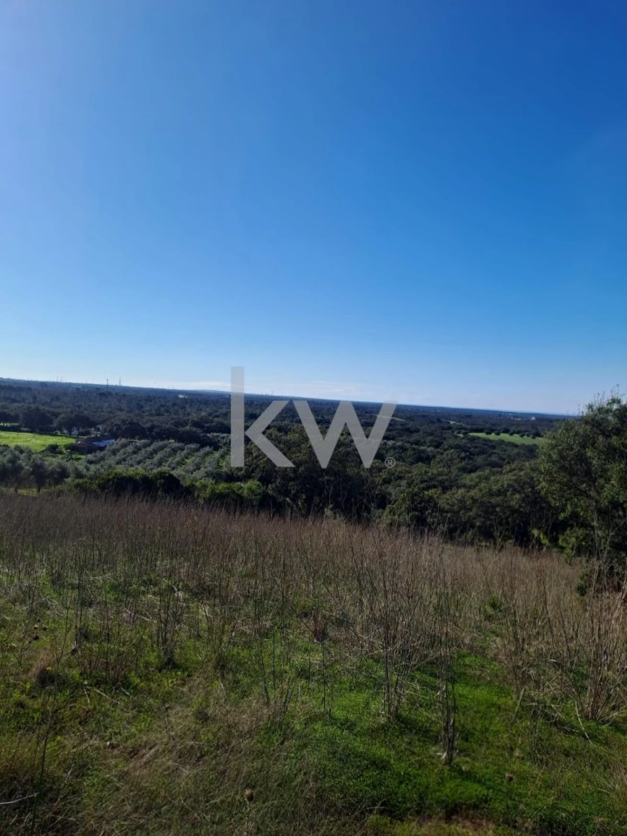 Terreno para Venda em Santiago do Cacém, Santa Cruz e São Bartolomeu da Serra Foto 5