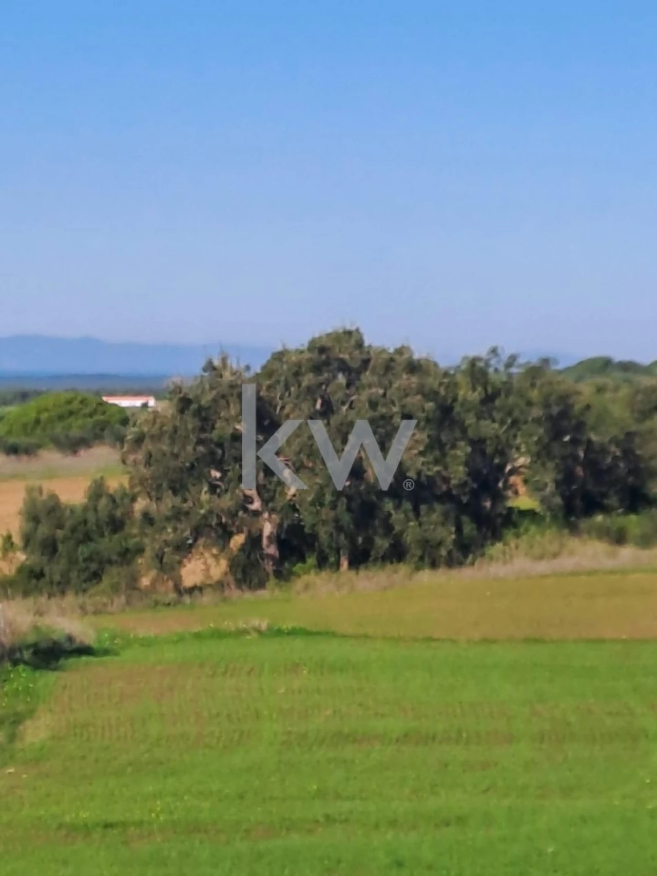 Terreno para Venda em Santiago do Cacém, Santa Cruz e São Bartolomeu da Serra Foto 6