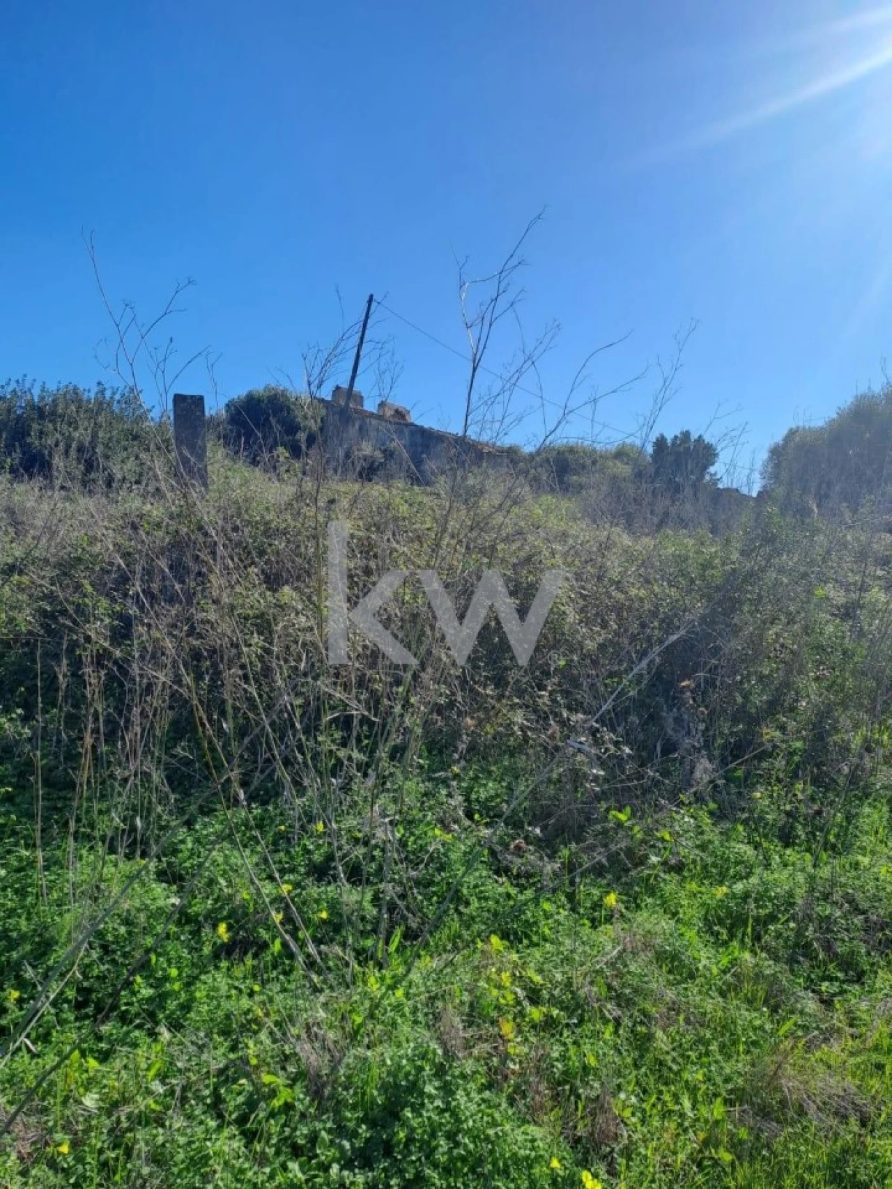 Terreno para Venda em Santiago do Cacém, Santa Cruz e São Bartolomeu da Serra Foto 7