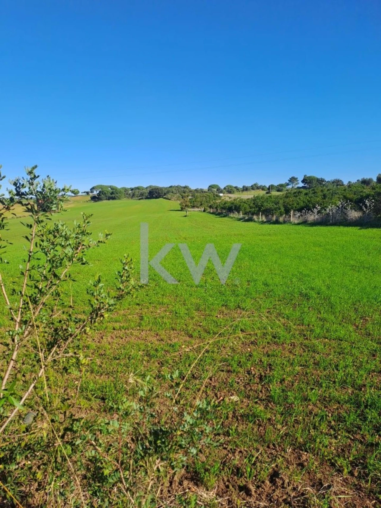 Terreno para Venda em Santiago do Cacém, Santa Cruz e São Bartolomeu da Serra Foto 13