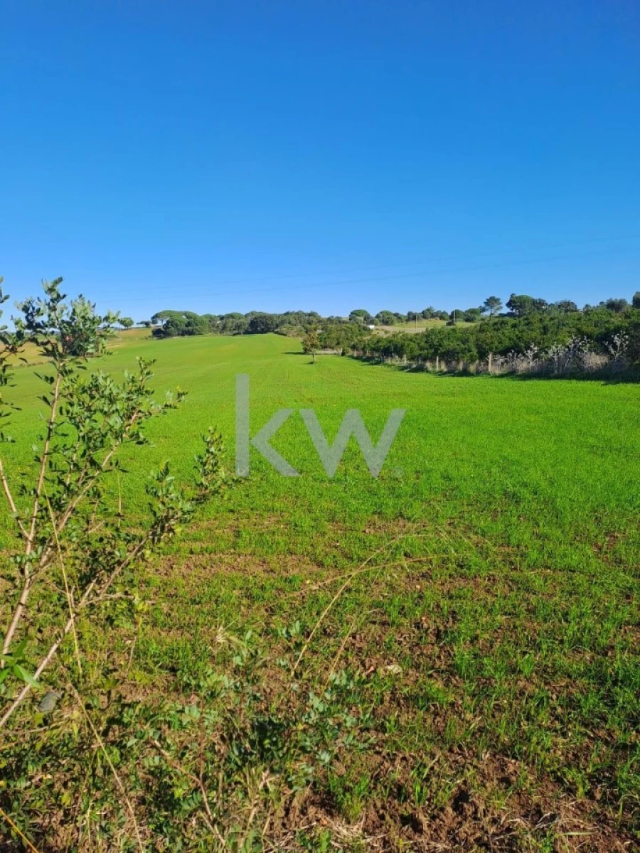 Terreno para Venda em Santiago do Cacém, Santa Cruz e São Bartolomeu da Serra Foto 13