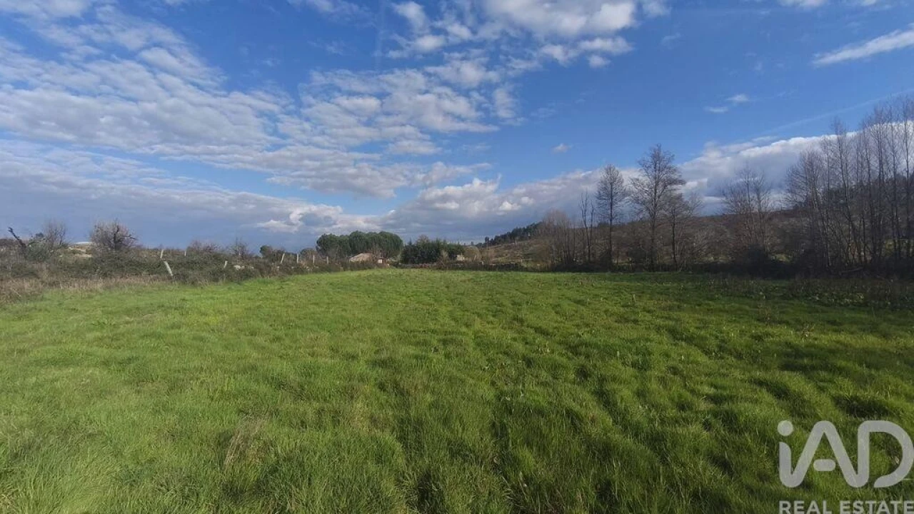Terreno para Venda em Seixo da Beira Foto 9