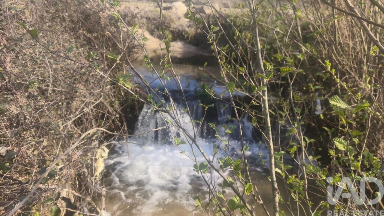 Terreno para Venda em Seixo da Beira Foto 7