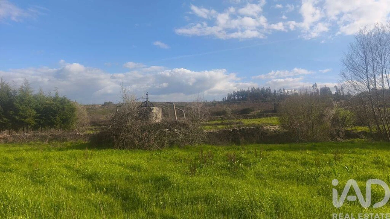 Terreno para Venda em Seixo da Beira Foto 16