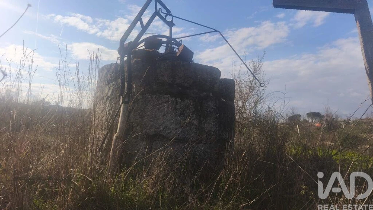 Terreno para Venda em Seixo da Beira Foto 12