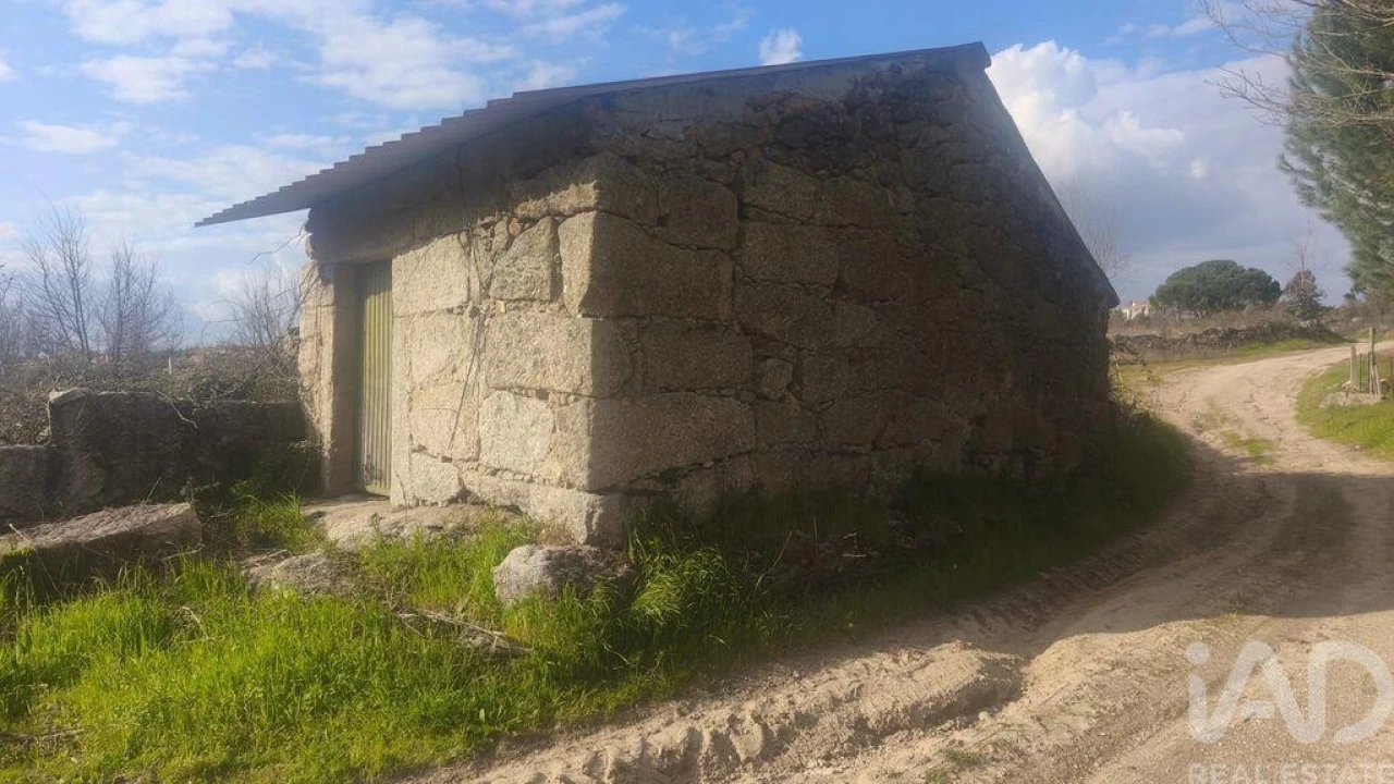 Terreno para Venda em Seixo da Beira Foto 22