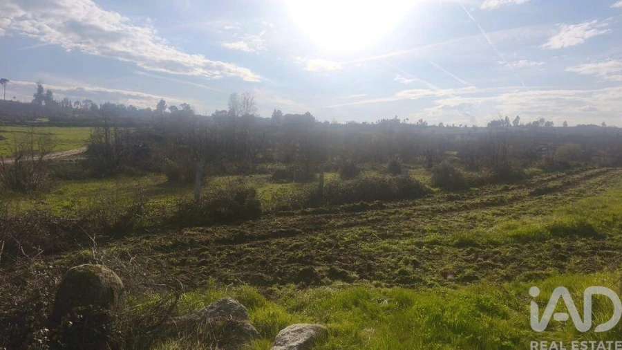 Terreno para Venda em Seixo da Beira Foto 4