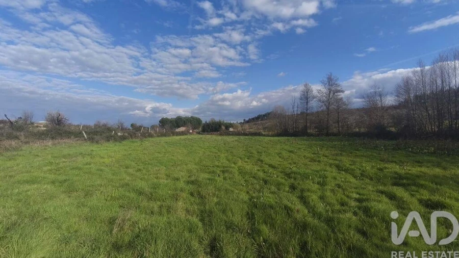 Terreno para Venda em Seixo da Beira Foto 9