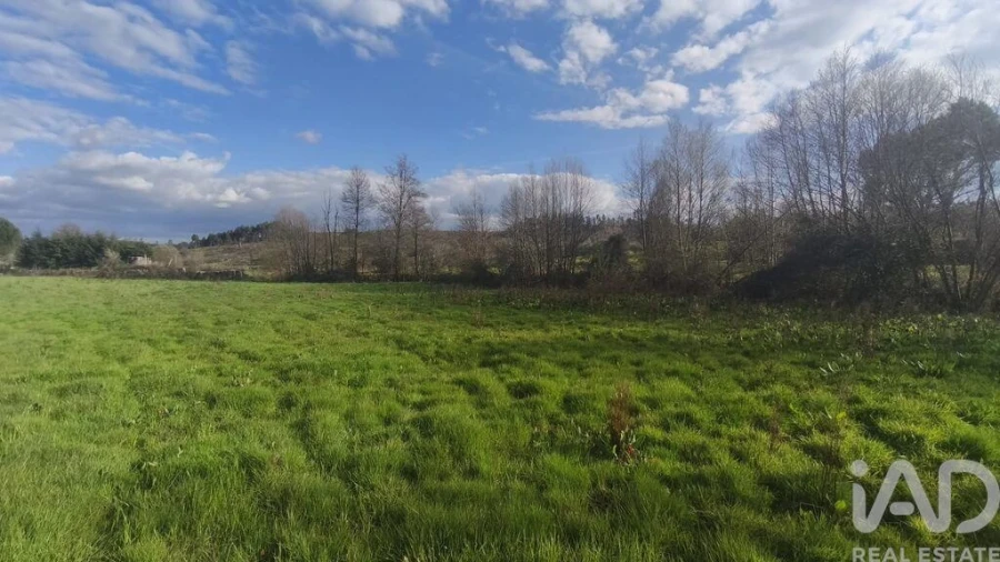 Terreno para Venda em Seixo da Beira Foto 14