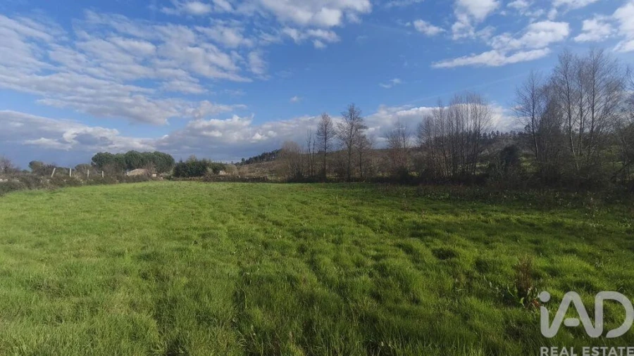 Terreno para Venda em Seixo da Beira Foto 20