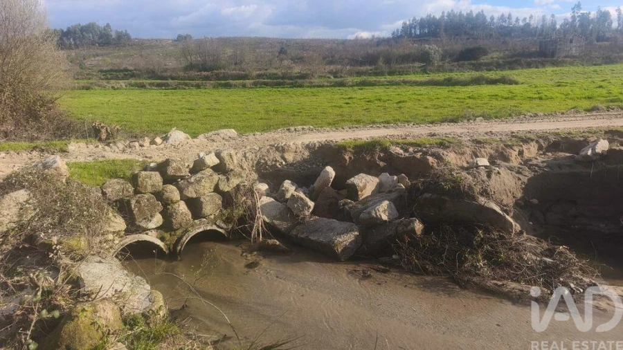 Terreno para Venda em Seixo da Beira Foto 5