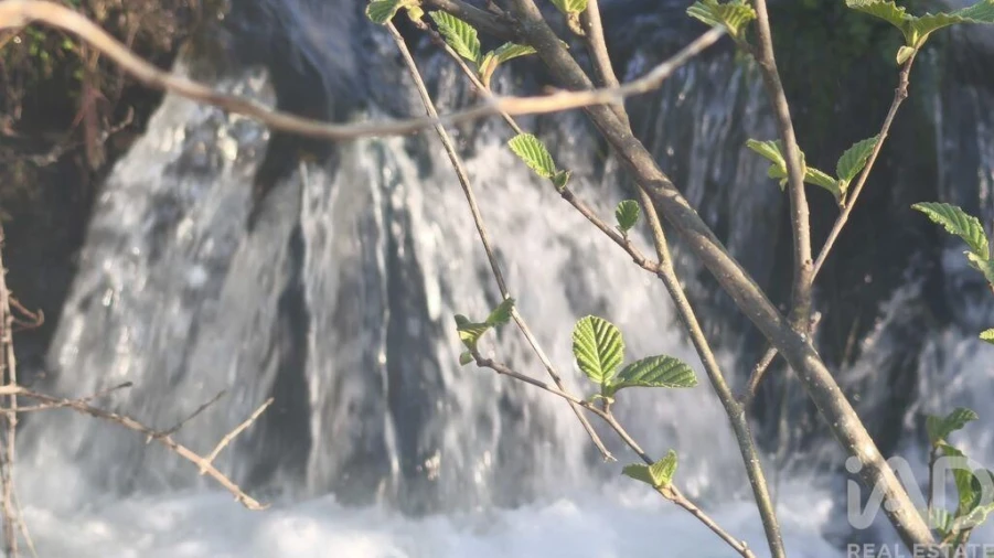 Terreno para Venda em Seixo da Beira Foto 3