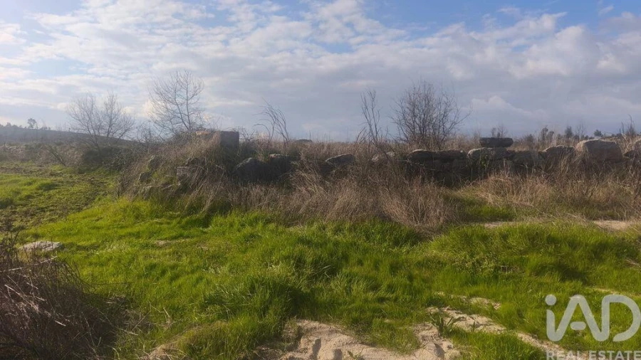 Terreno para Venda em Seixo da Beira Foto 13