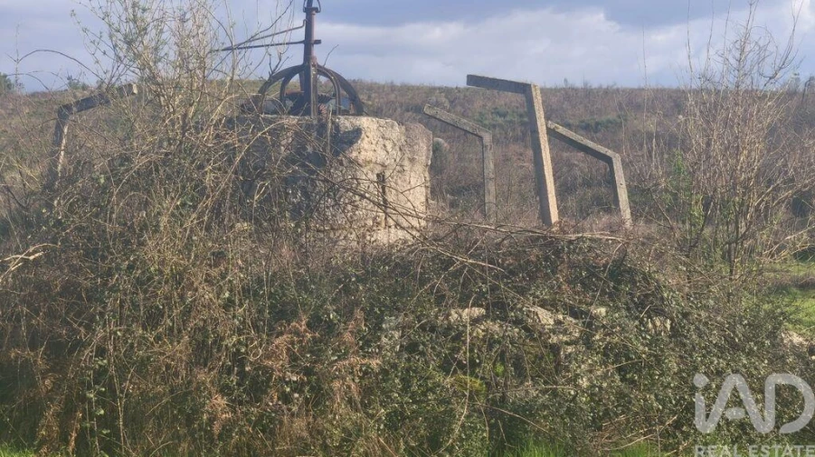 Terreno para Venda em Seixo da Beira Foto 19