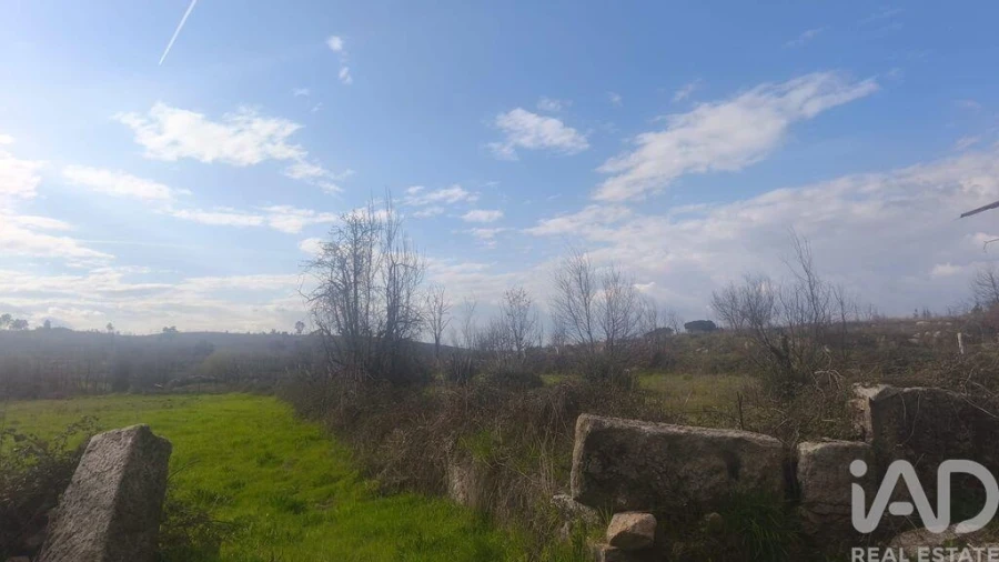 Terreno para Venda em Seixo da Beira Foto 21