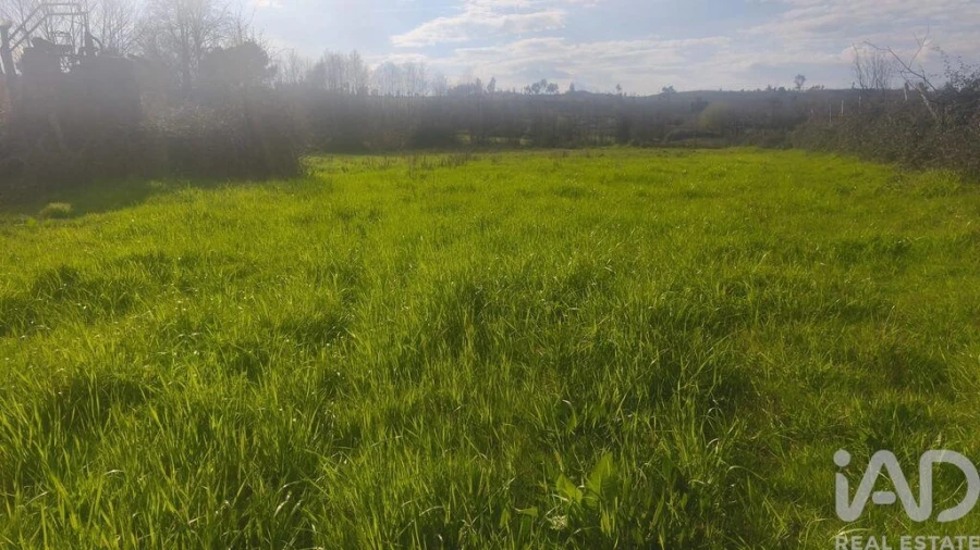 Terreno para Venda em Seixo da Beira Foto 11