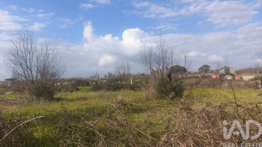 Terreno para Venda em Seixo da Beira Foto 8