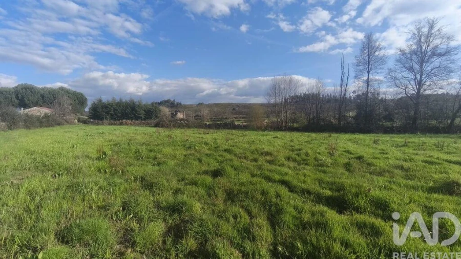 Terreno para Venda em Seixo da Beira Foto 15