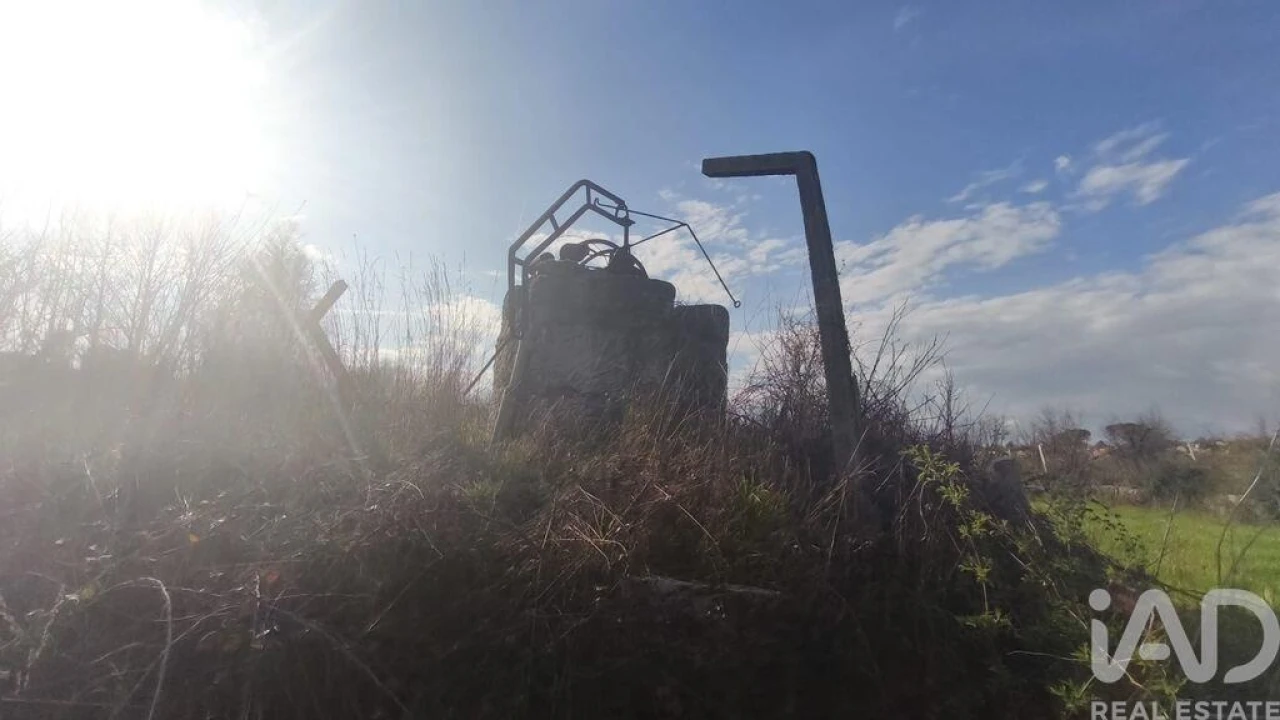 Terreno para Venda em Seixo da Beira Foto 6