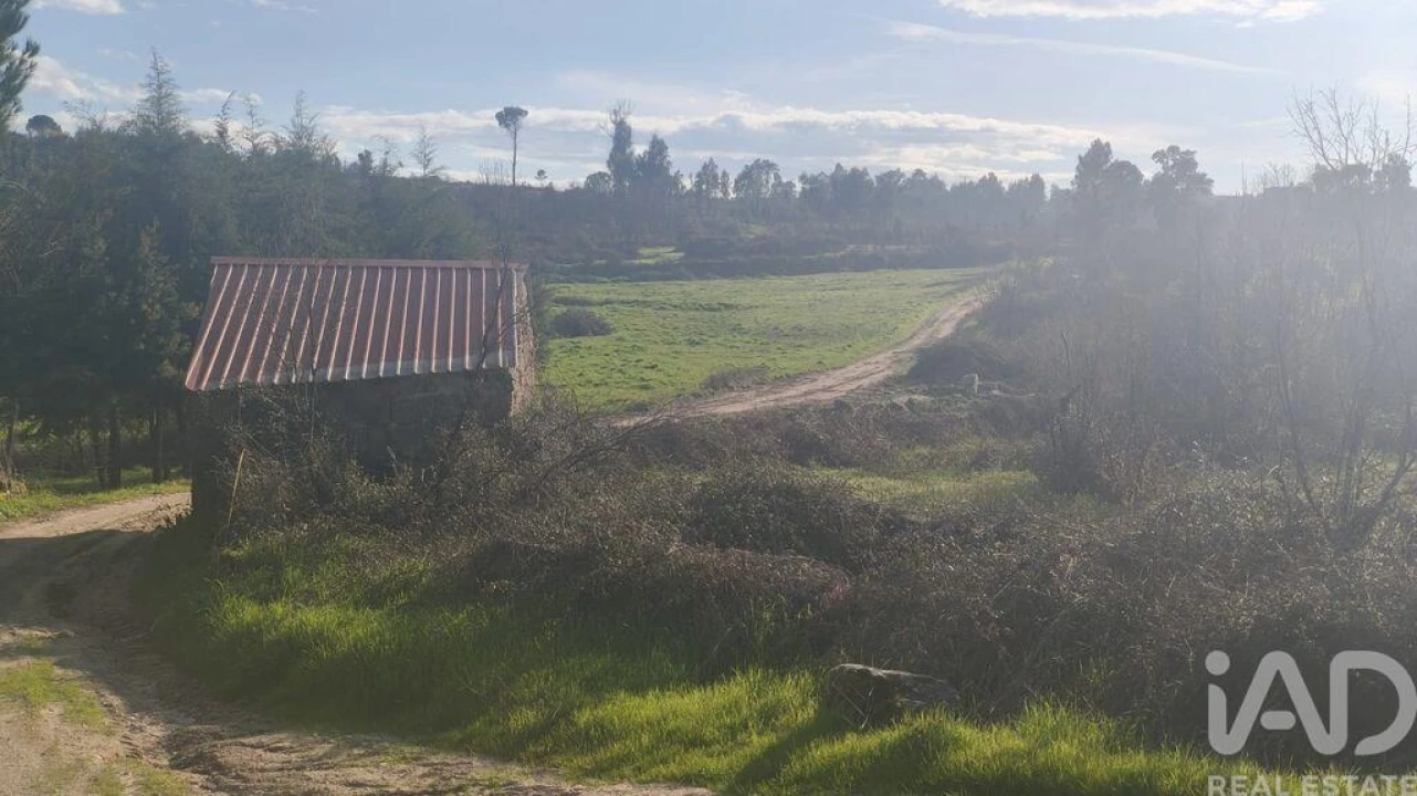 Terreno para Venda em Seixo da Beira Foto 23