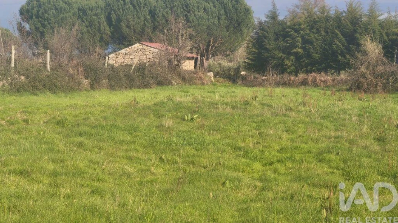 Terreno para Venda em Seixo da Beira Foto 1