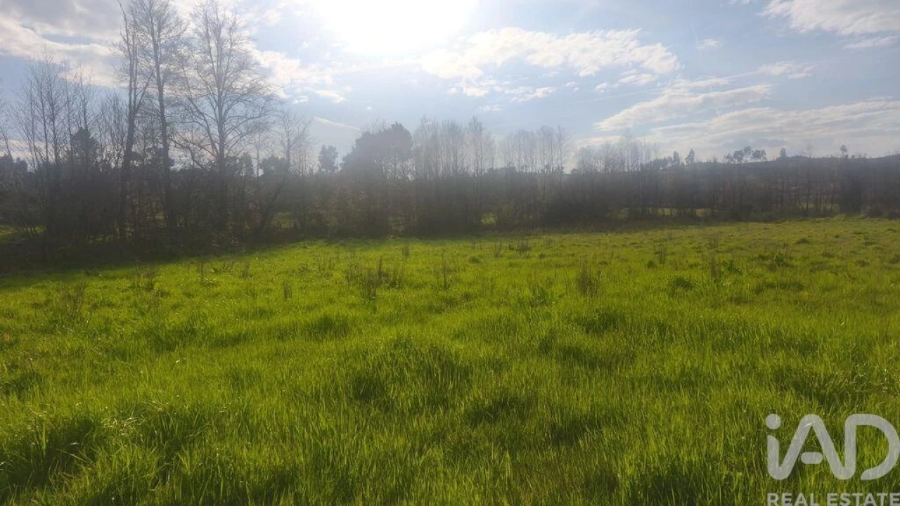 Terreno para Venda em Seixo da Beira Foto 10