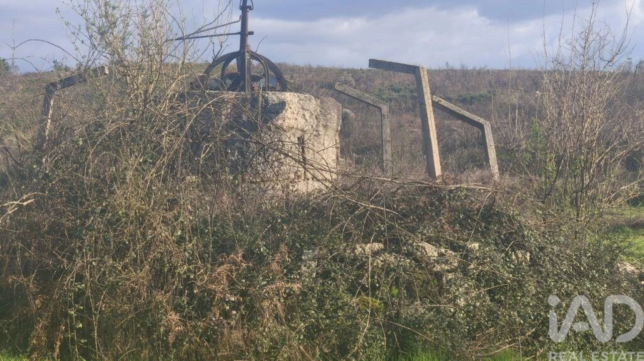 Terreno para Venda em Seixo da Beira Foto 19