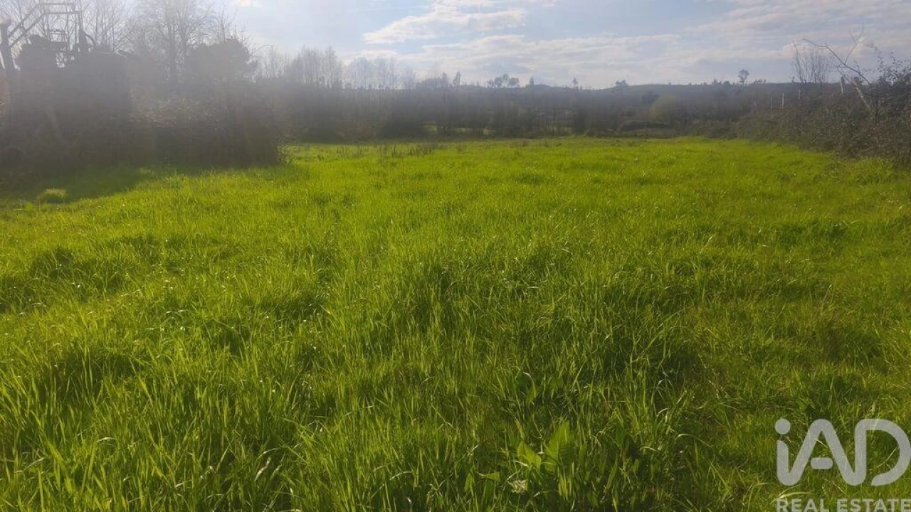 Terreno para Venda em Seixo da Beira Foto 11