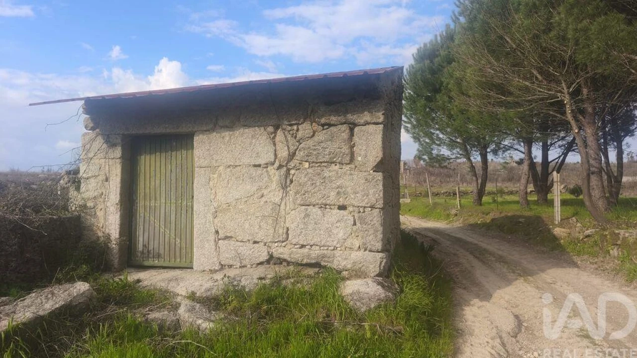 Terreno para Venda em Seixo da Beira Foto 18