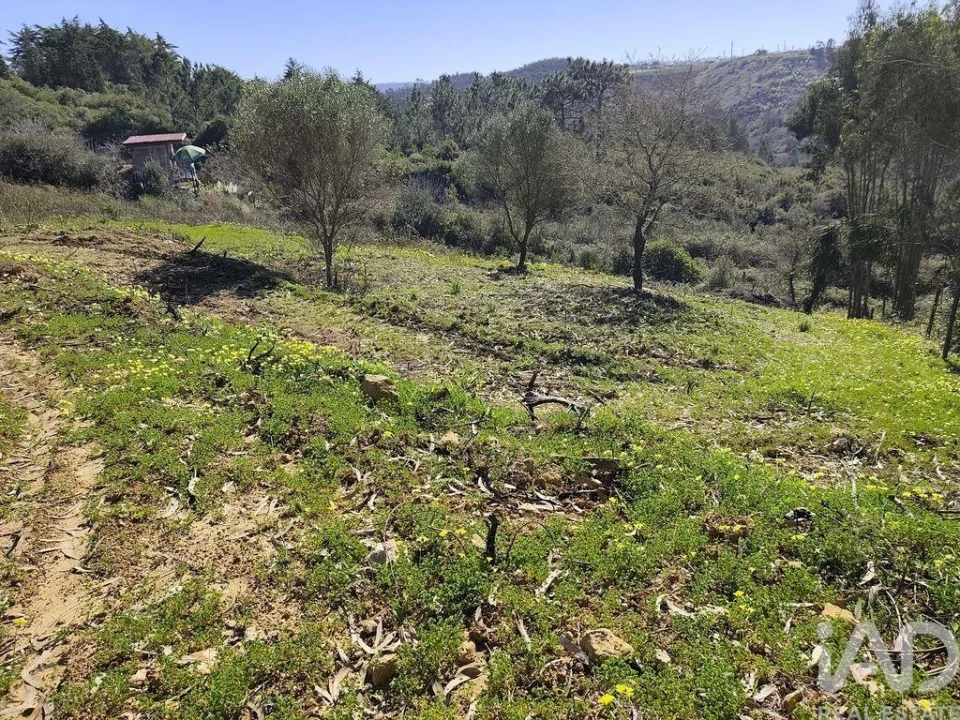 Terreno para Venda em Mafra Foto 6