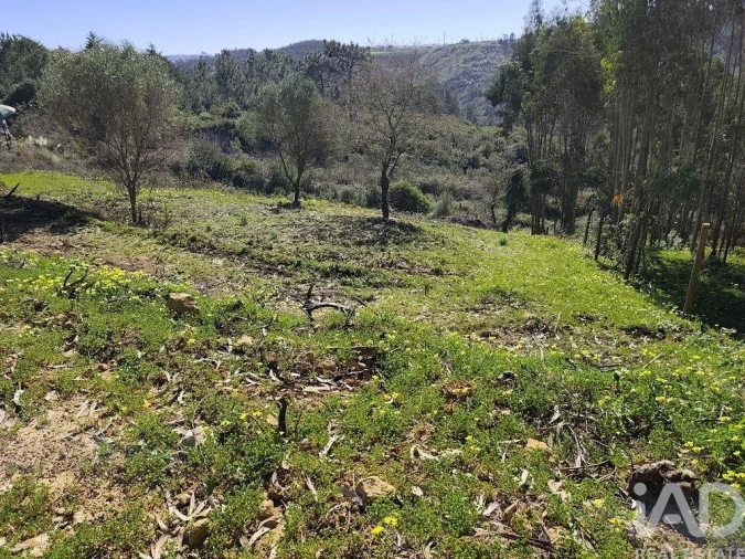Terreno para Venda em Mafra