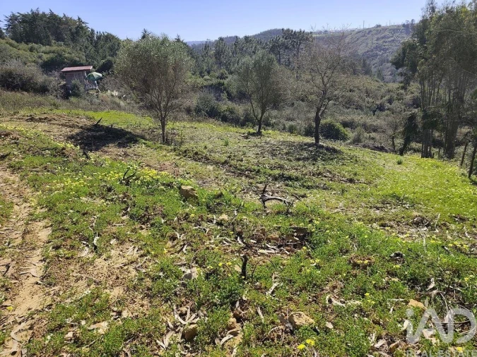 Terreno para Venda em Mafra Foto 6