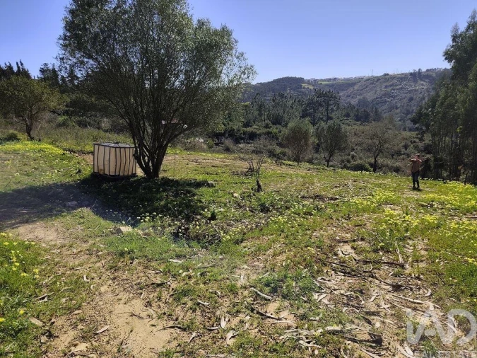 Terreno para Venda em Mafra Foto 4