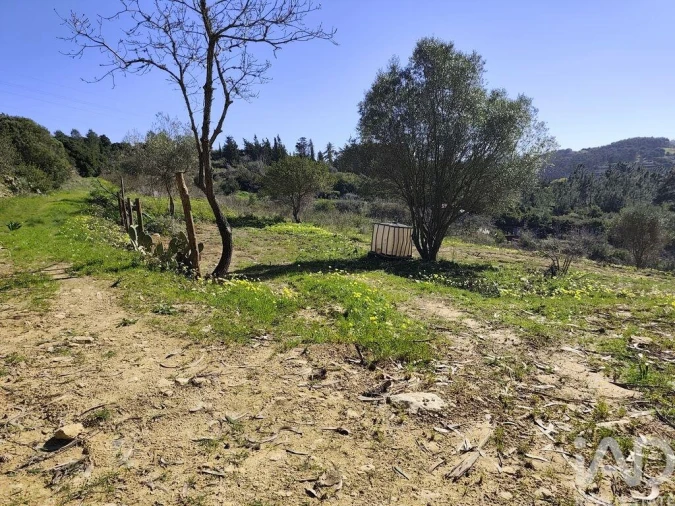Terreno para Venda em Mafra Foto 5