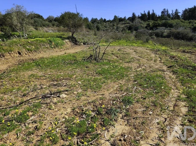 Terreno para Venda em Mafra Foto 3