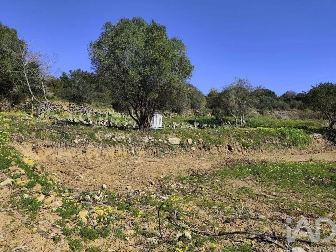 Terreno para Venda em Mafra Foto 2