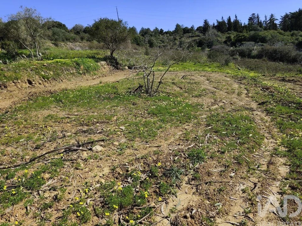Terreno para Venda em Mafra Foto 3