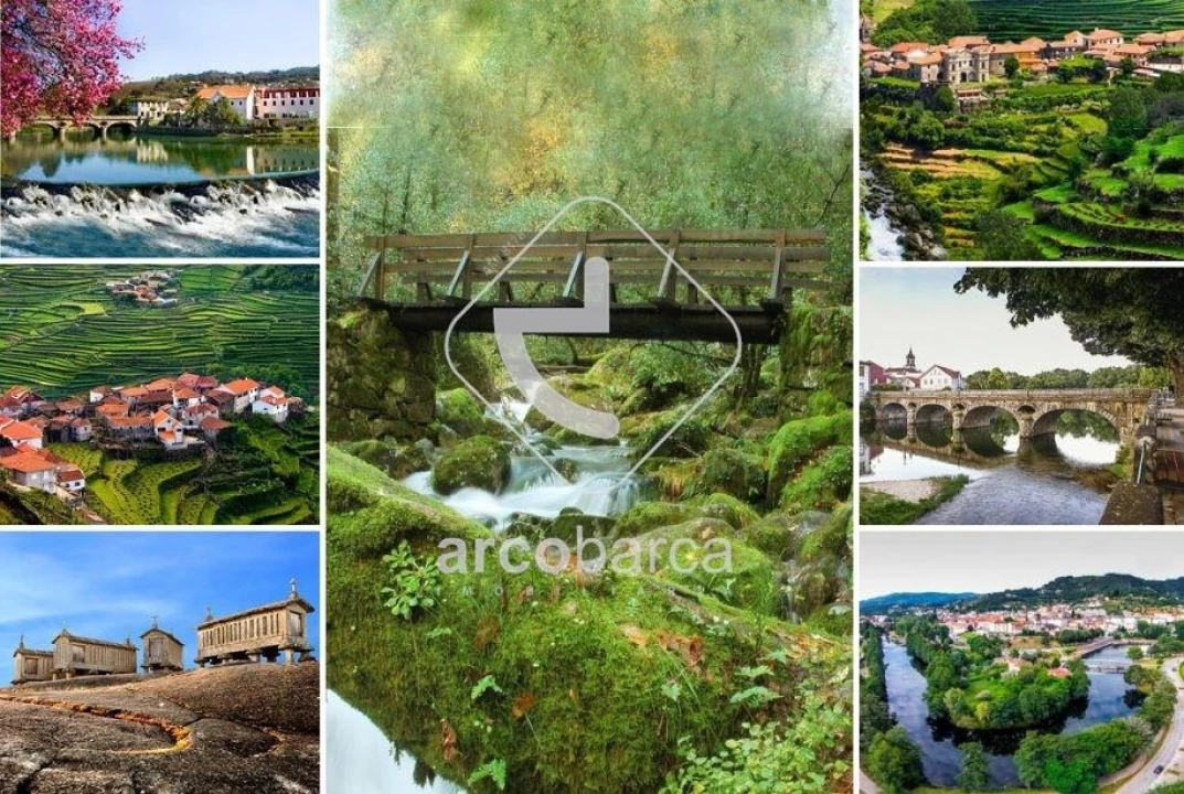 Terreno para Venda em São Jorge e Ermelo Foto 10
