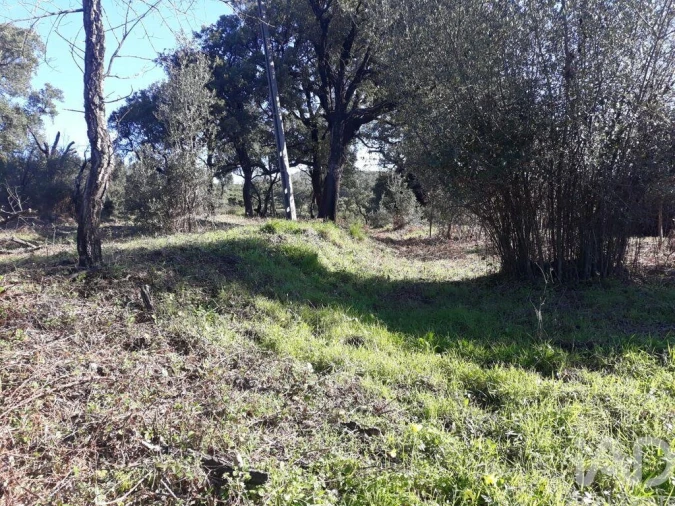 Terreno para Venda em Monchique