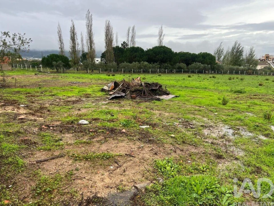 Moradia para Venda em Lamas e Cercal Foto 21