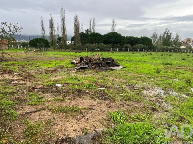 Moradia para Venda em Lamas e Cercal Foto 21