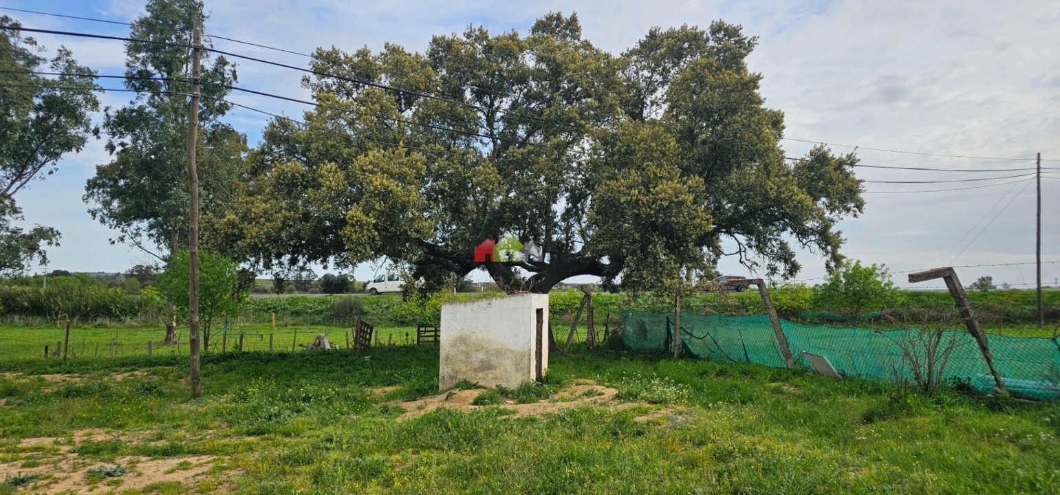 Terreno para Venda em Nossa Senhora das Neves Foto 4