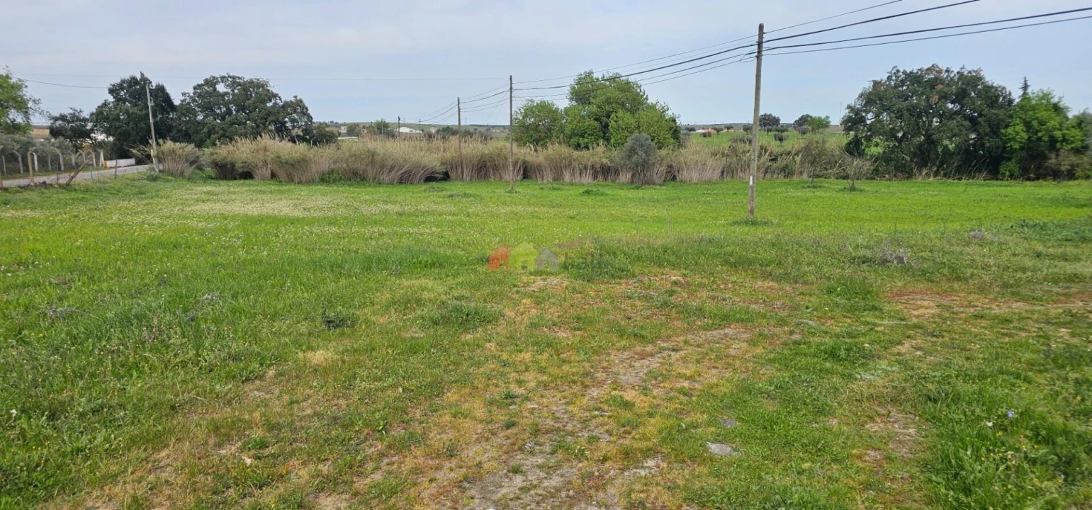 Terreno para Venda em Nossa Senhora das Neves Foto 6