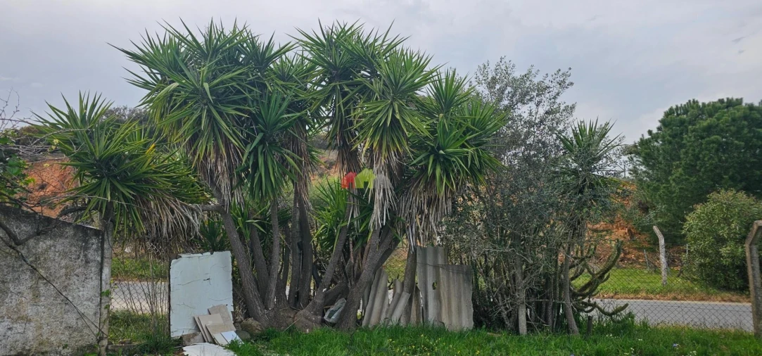 Terreno para Venda em Nossa Senhora das Neves Foto 9